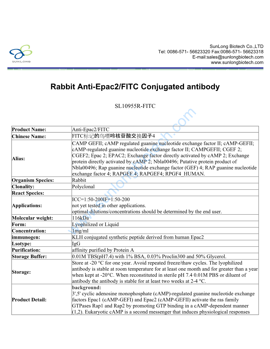 Rabbit Anti-Epac2/FITC Conjugated Antibody