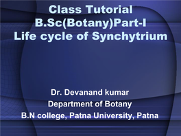 Class Tutorial B.Sc(Botany)Part-I Life Cycle of Synchytrium