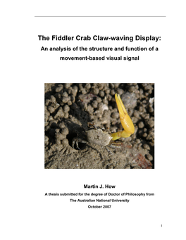 The Fiddler Crab Claw-Waving Display