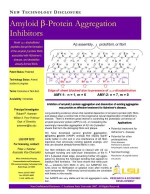 Amyloid -Protein Aggregation Inhibitors