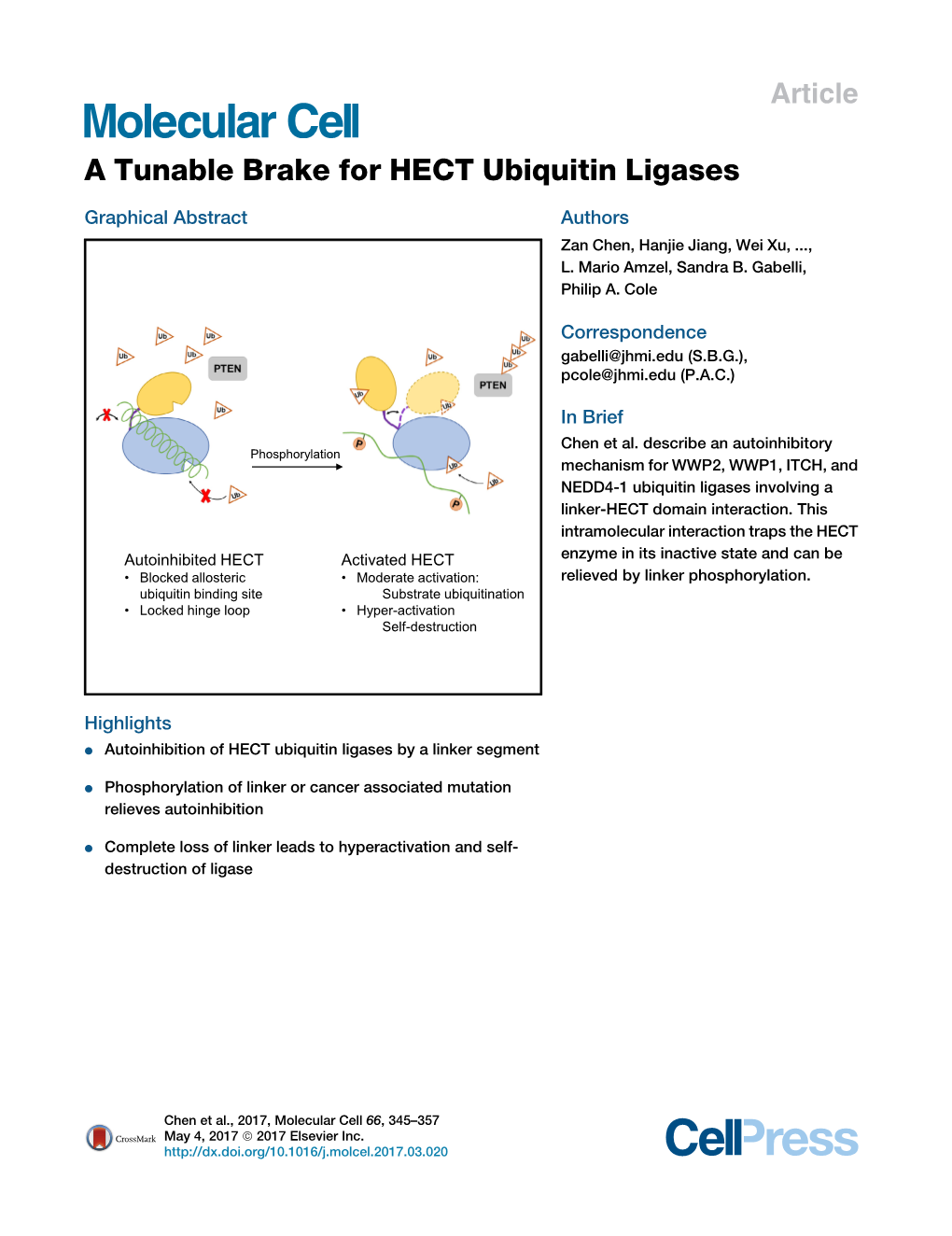 A Tunable Brake for HECT Ubiquitin Ligases