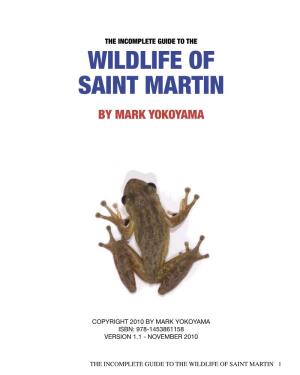 Wildlife of Saint Martin by Mark Yokoyama