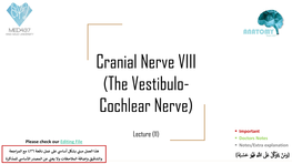 The Vestibulo- Cochlear Nerve)