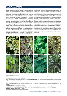 Familia Araliaceae