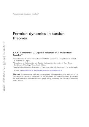 Fermion Dynamics in Torsion Theories