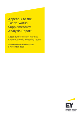 EY Appendix to Tasnetworks Supplementary