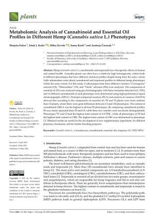 Cannabis Sativa L.) Phenotypes
