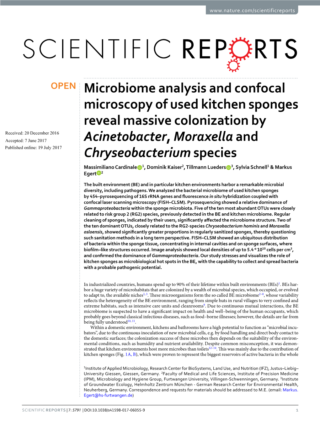 Microbiome Analysis and Confocal Microscopy of Used Kitchen
