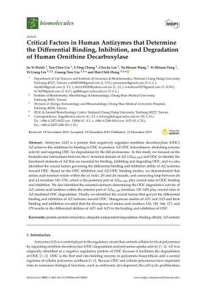 Critical Factors in Human Antizymes That Determine the Differential Binding, Inhibition, and Degradation of Human Ornithine Deca