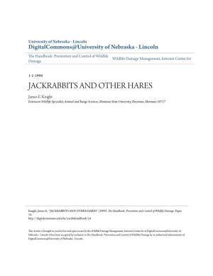JACKRABBITS and OTHER HARES James E