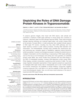 Unpicking the Roles of DNA Damage Protein Kinases in Trypanosomatids
