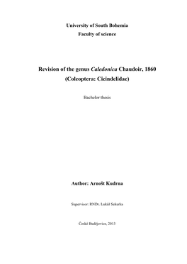 Revision of the Genus Caledonica Chaudoir, 1860 (Coleoptera: Cicindelidae)