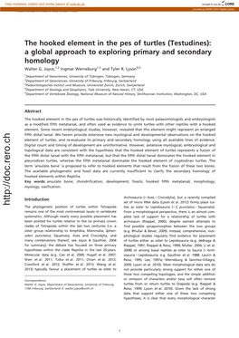 The Hooked Element in the Pes of Turtles (Testudines): a Global Approach to Exploring Primary and Secondary Homology Walter G