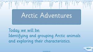 Arctic Adventures Science KN1