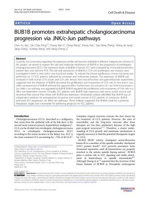 BUB1B Promotes Extrahepatic Cholangiocarcinoma Progression