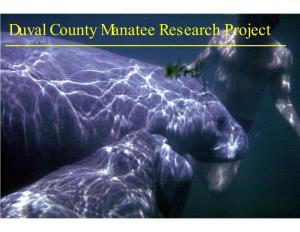 Duval County Manatee Research Project