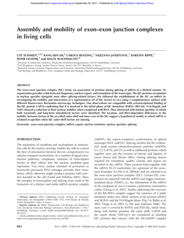Assembly and Mobility of Exon–Exon Junction Complexes in Living Cells