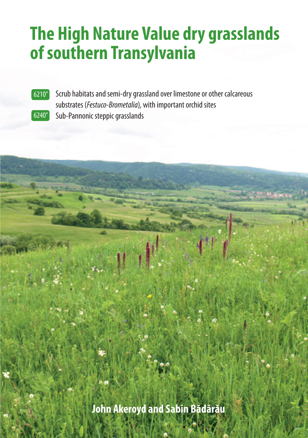 The High Nature Value Dry Grasslands of Southern Transylvania