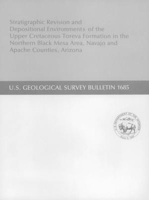 Stratigraphic Revision and Depositional Environments of the Upper Cretaceous Toreva Formation in the Northern Black Mesa Area, Navajo and Apache Counties, Arizona