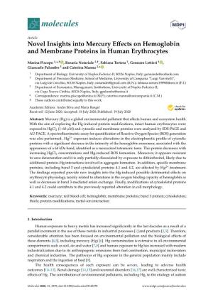 Novel Insights Into Mercury Effects on Hemoglobin and Membrane Proteins in Human Erythrocytes