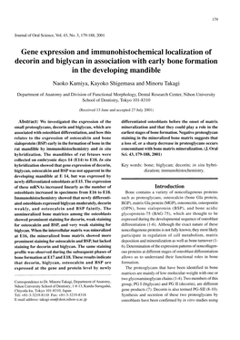 Gene Expression and Immunohistochemical Localization of Decorin and Biglycan in Association with Early Bone Formation in the Developing Mandible