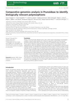 Comparative Genomics Analysis in Prunoideae to Identify Biologically Relevant Polymorphisms