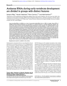 Antisense Rnas During Early Vertebrate Development Are Divided in Groups with Distinct Features
