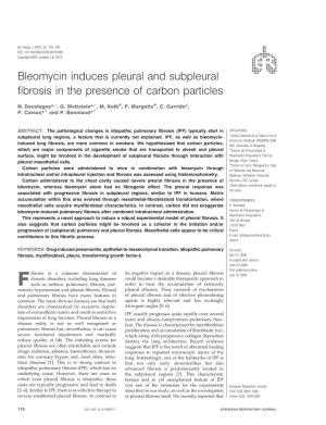 Bleomycin Induces Pleural and Subpleural Fibrosis in the Presence of Carbon Particles