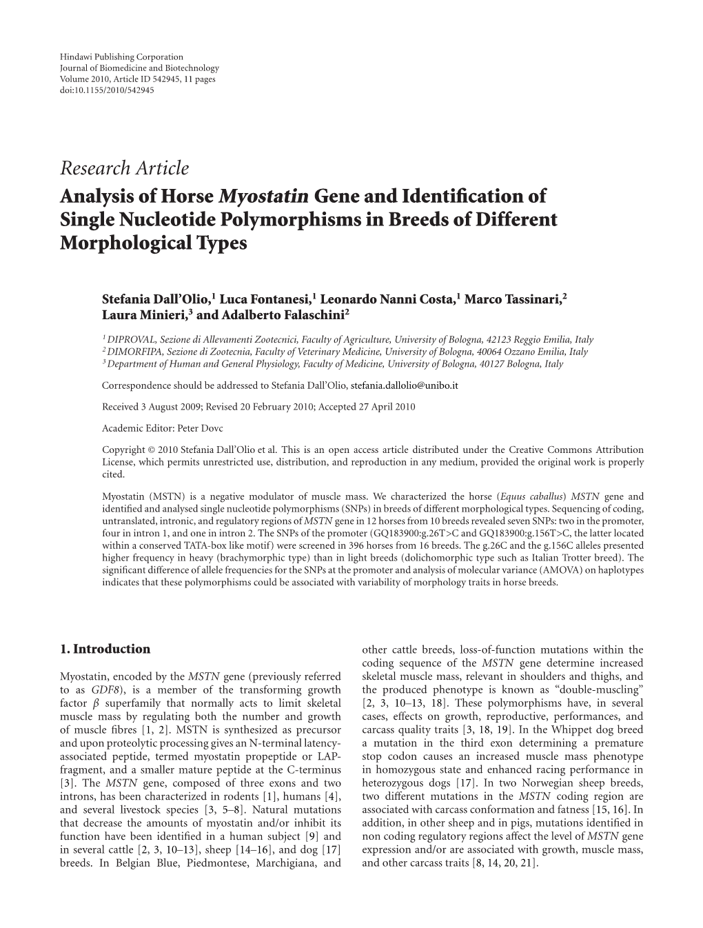 Analysis of Horse Myostatin Gene and Identification of Single Nucleotide