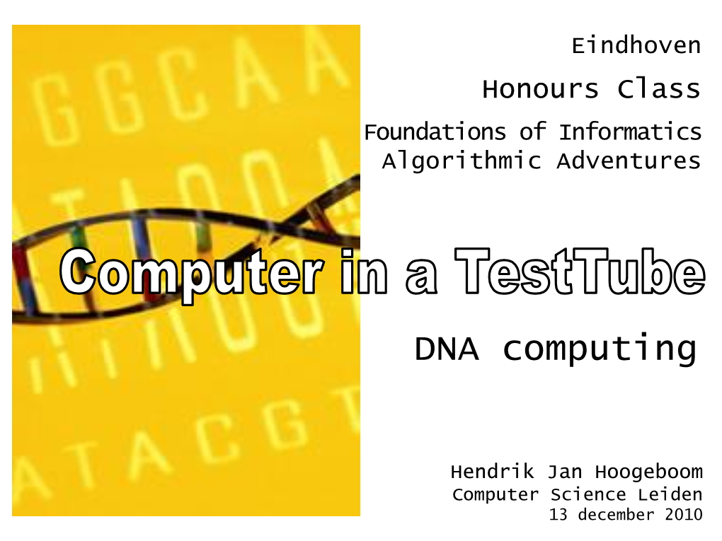 DNA Computers