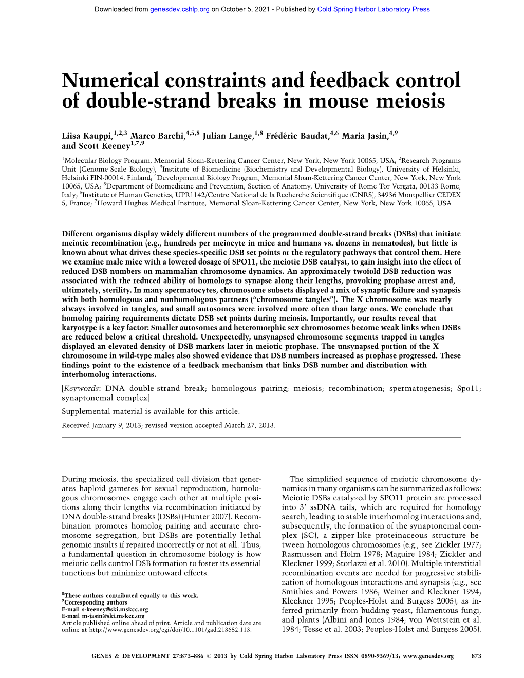 Numerical Constraints and Feedback Control of Double-Strand Breaks in Mouse Meiosis