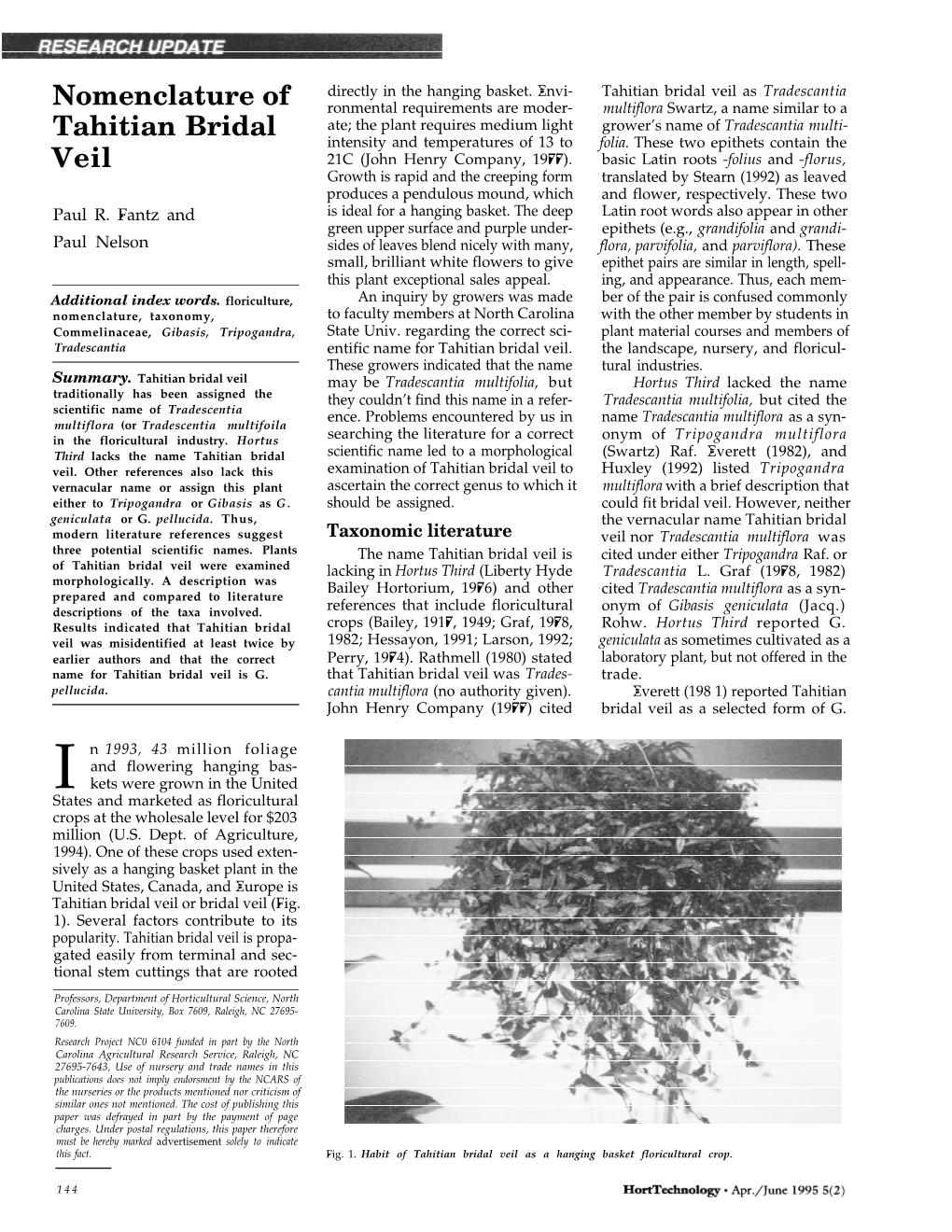 Nomenclature of Tahitian Bridal Veil