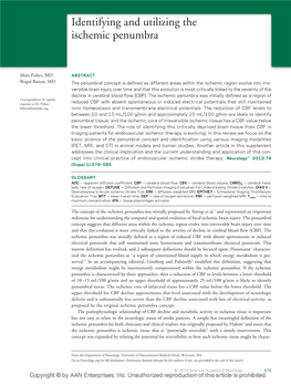 Identifying and Utilizing the Ischemic Penumbra