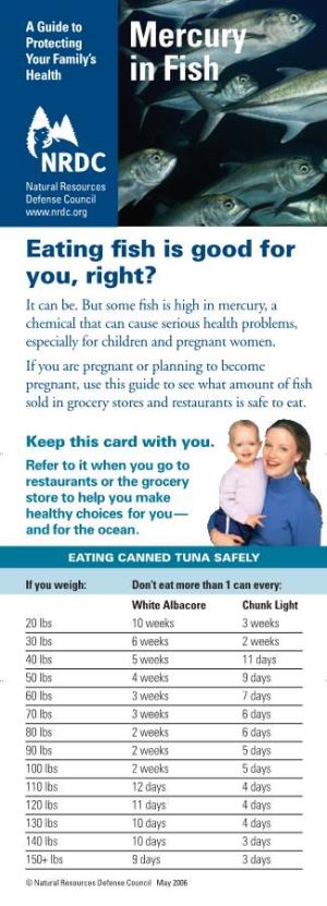 Mercury in Fish Wallet Card -- a Guide to Protecting Your Family's