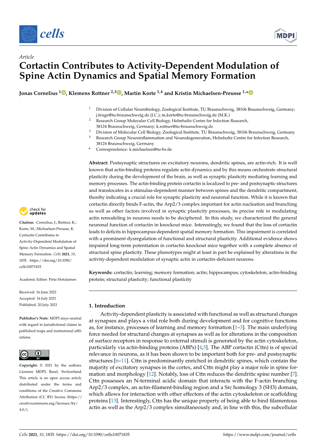 Cortactin Contributes to Activity-Dependent Modulation of Spine Actin Dynamics and Spatial Memory Formation