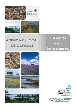 Diagnóstico Para a Sustentabilidade Da Agenda 21 Local De Ourique, Enquadrando-Se Na Actividade 2 – “Elaboração Do