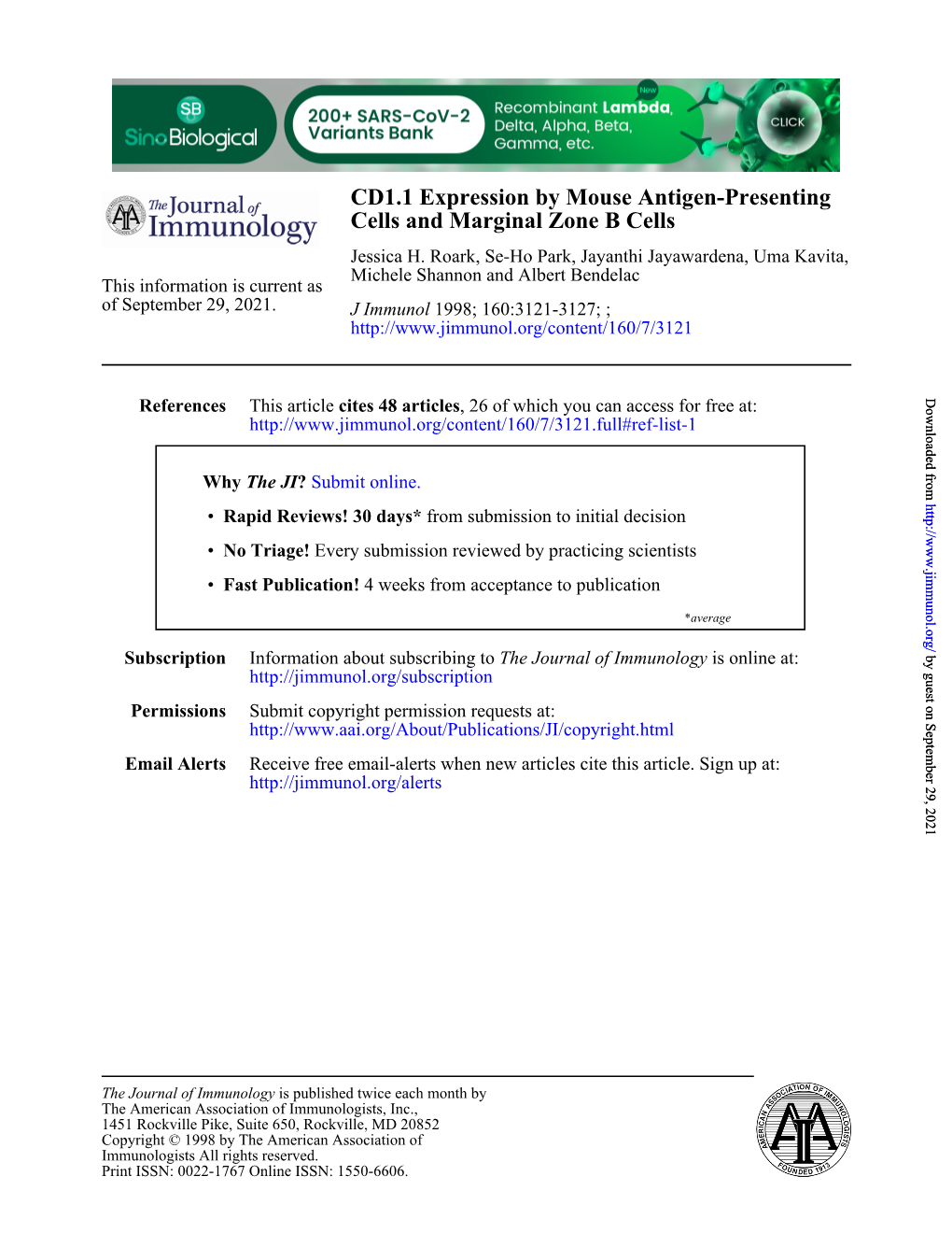 Cells and Marginal Zone B Cells CD1.1 Expression by Mouse Antigen-Presenting