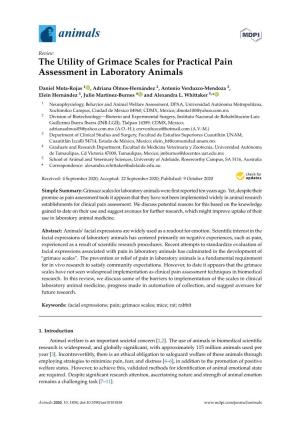The Utility of Grimace Scales for Practical Pain Assessment in Laboratory Animals