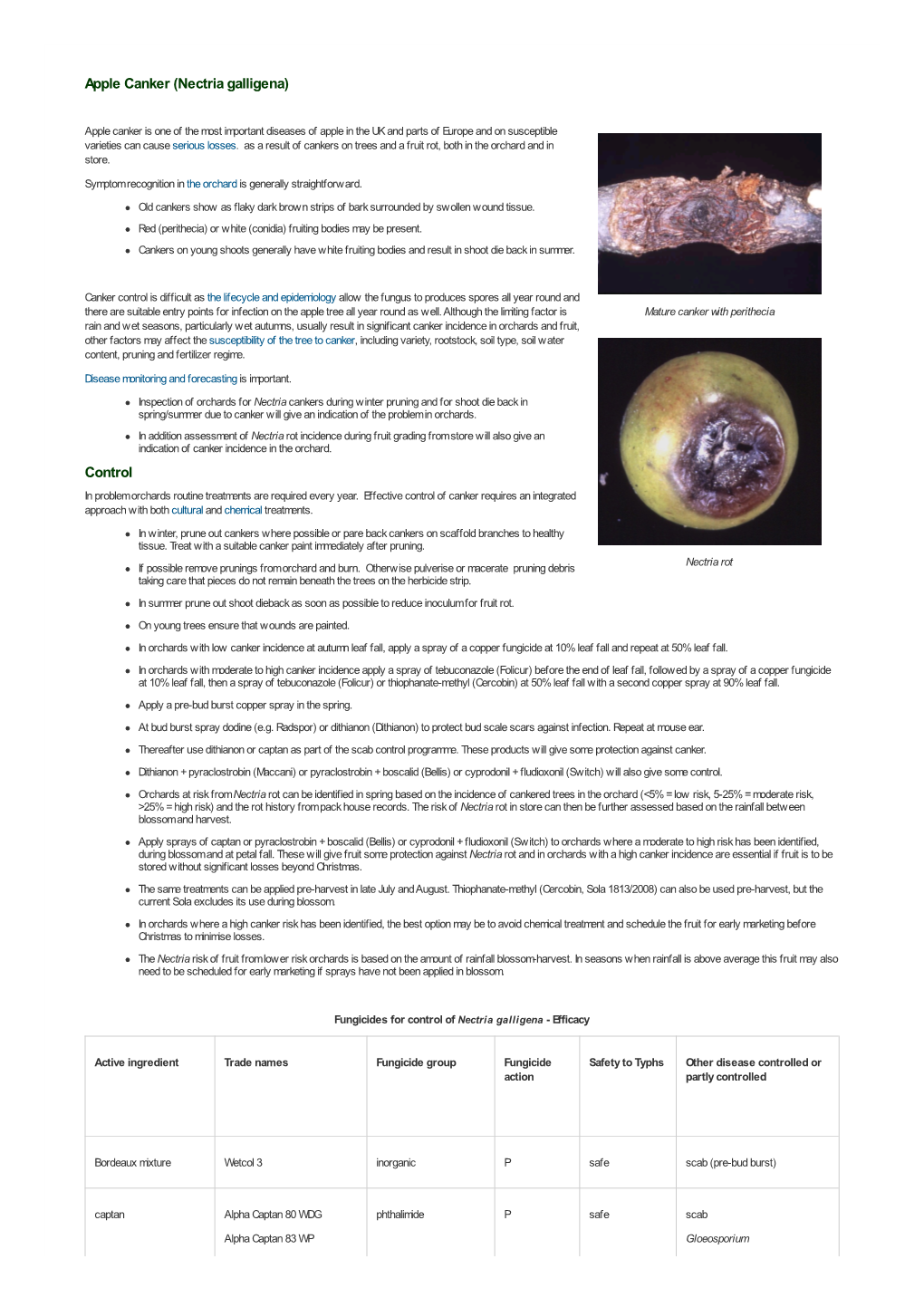 Apple Canker (Nectria Galligena) Control