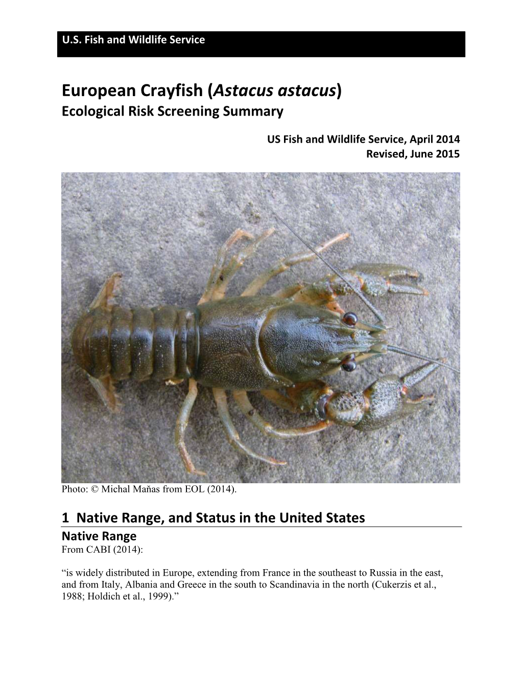 European Crayfish (Astacus Astacus) Ecological Risk Screening Summary
