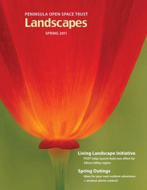 Landscapes SPRING 2011