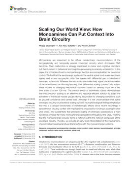Scaling Our World View: How Monoamines Can Put Context Into Brain Circuitry