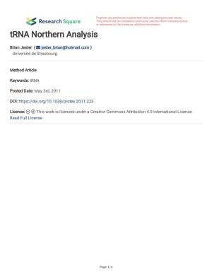 Trna Northern Analysis
