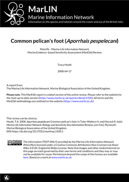 Marlin Marine Information Network Information on the Species and Habitats Around the Coasts and Sea of the British Isles