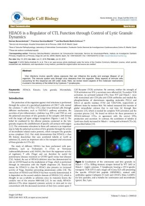 HDAC6 Is a Regulator of CTL Function Through Control of Lytic