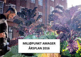 Miljøpunkt Amager Årsplan 2016