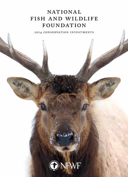 National Fish and Wildlife Foundation