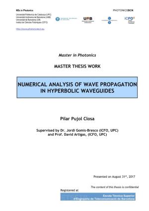 Numerical Analysis of Wave Propagation in Hyperbolic Waveguides