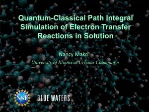 Nancy Makri: Quantum-Classical Path Integral Simulation of Electron