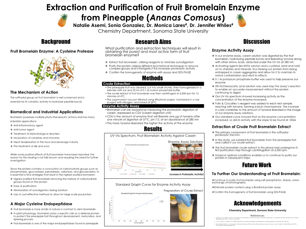 Fruit Bromelain Enzyme Poster